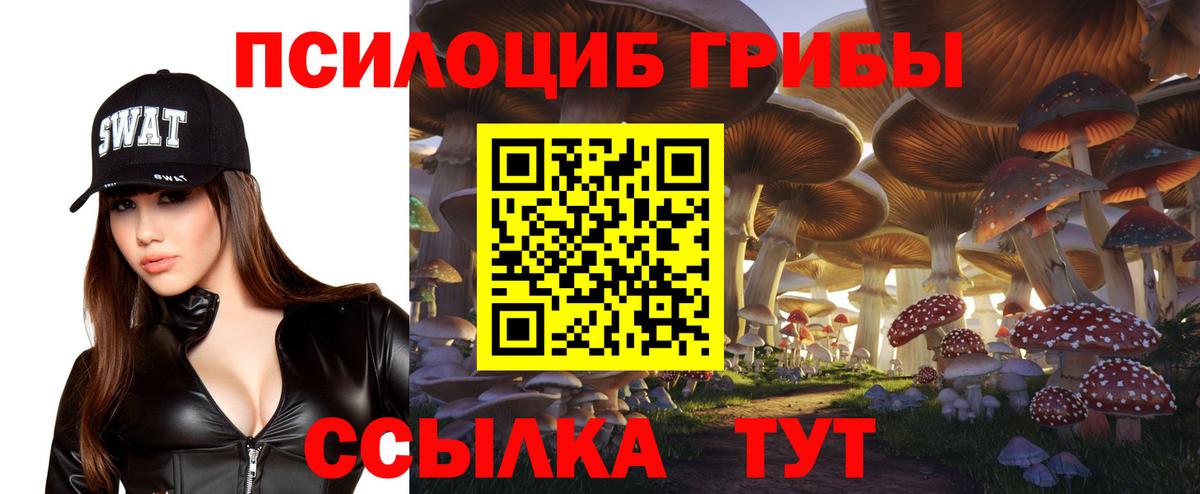 Псилоцибиновые грибы GOLDEN TEACHER Черногорск