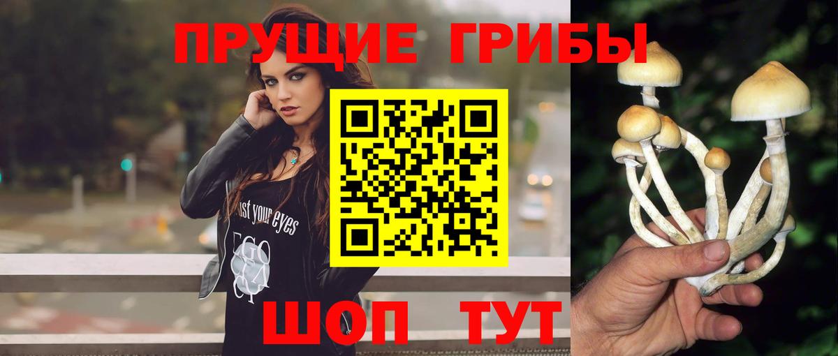 Галлюциногенные грибы Psilocybe  Галлюциногенные грибы Magic Shrooms  Вход с VPN  Черногорск 